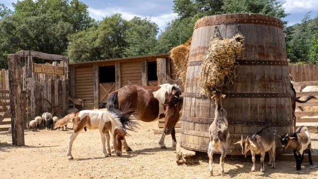 Ferme Ranch De La Mene Grimaud 8