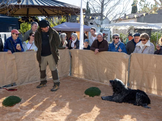 Week End Truffe Grimaud Var Provence 58