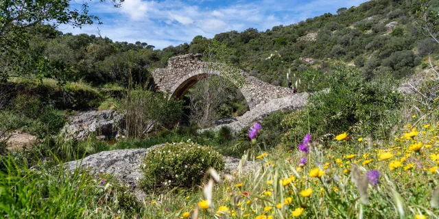 Pont Des Fees Grimaud Var 43