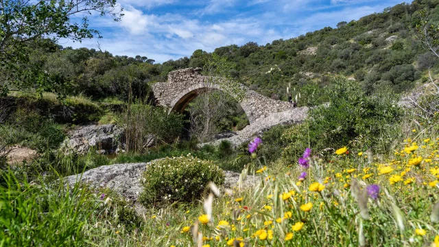 Pont Des Fees Grimaud Var 43