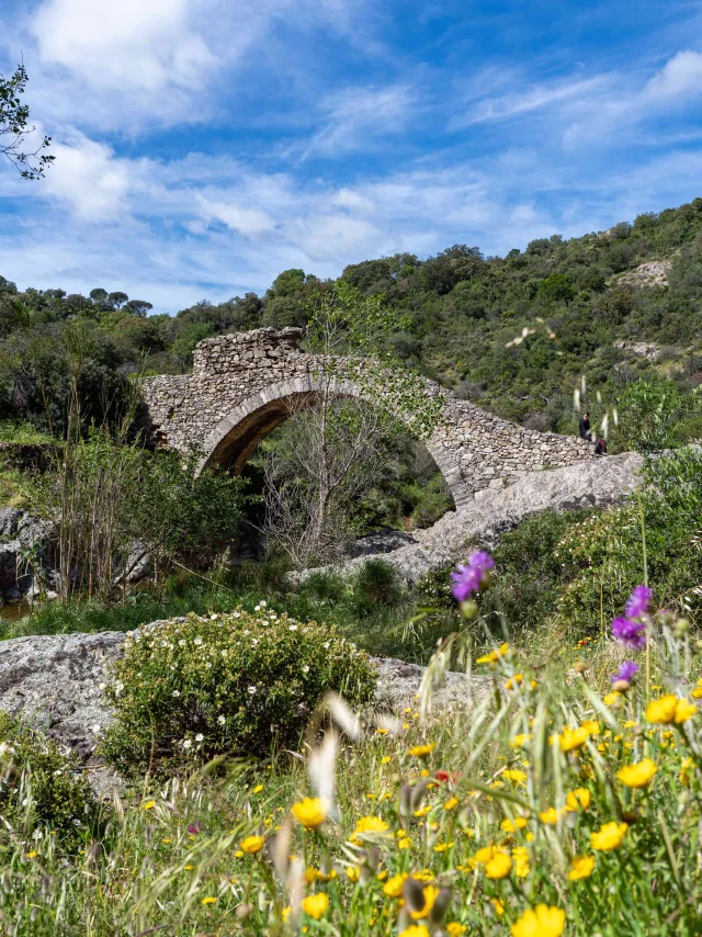 Pont Des Fees Grimaud Var 43