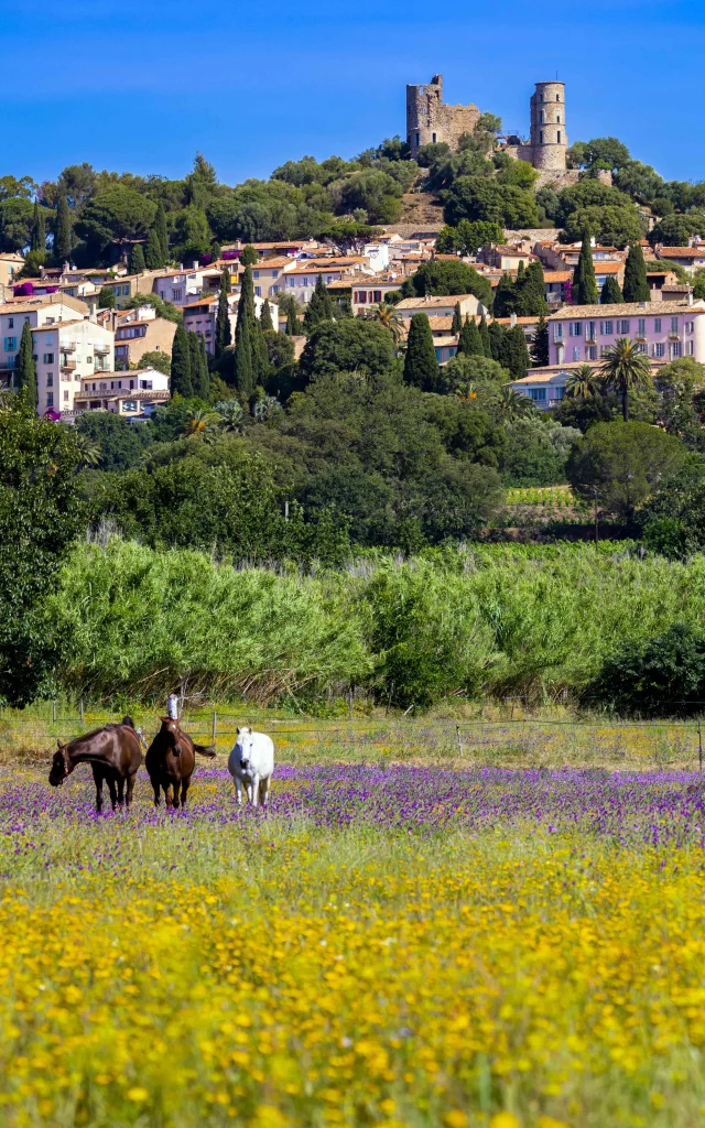 Grimaud Village Historique Var 113