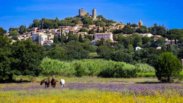 Grimaud Village Historique Var 113