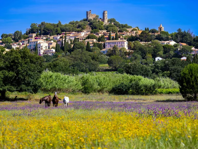 Grimaud Village Historique Var 113