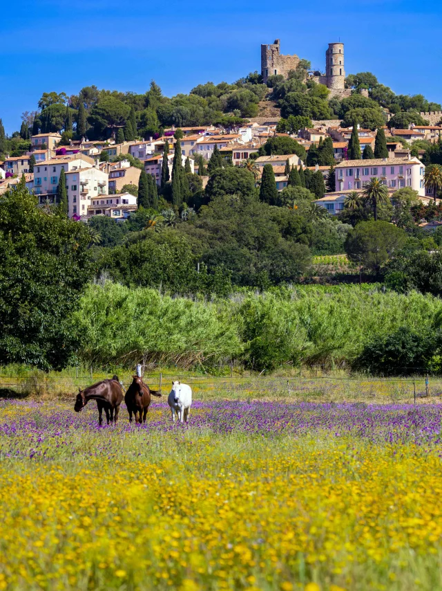 Grimaud Village Historique Var 113