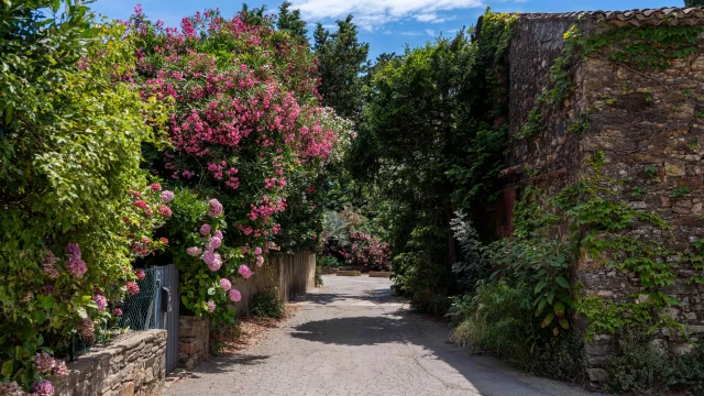 Hameau De Grimaud Var Provence 2