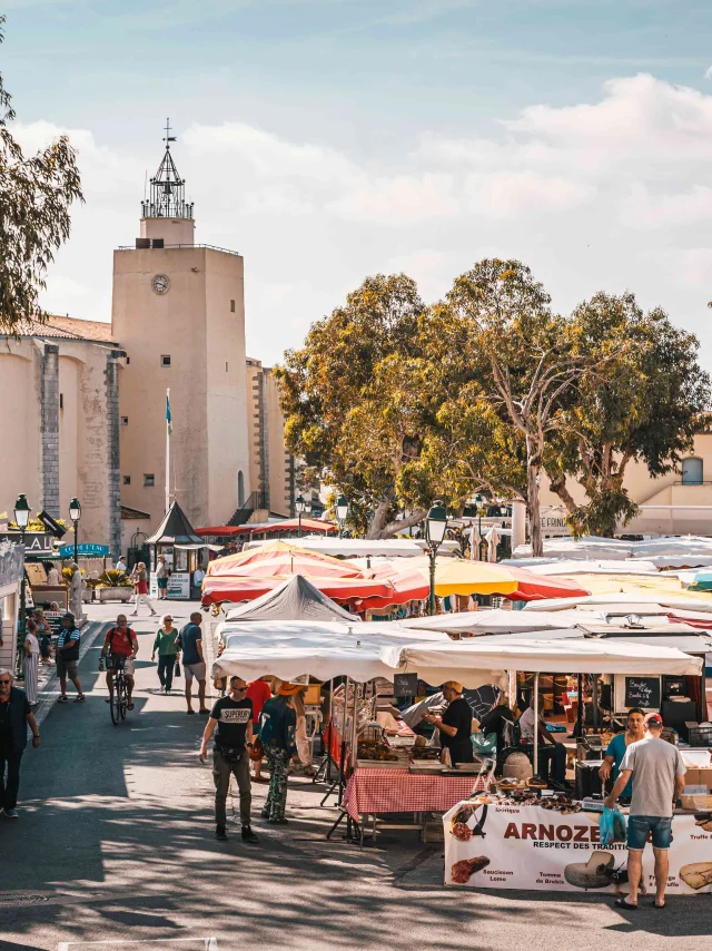 Marche Port Grimaud Cote D Azur 20