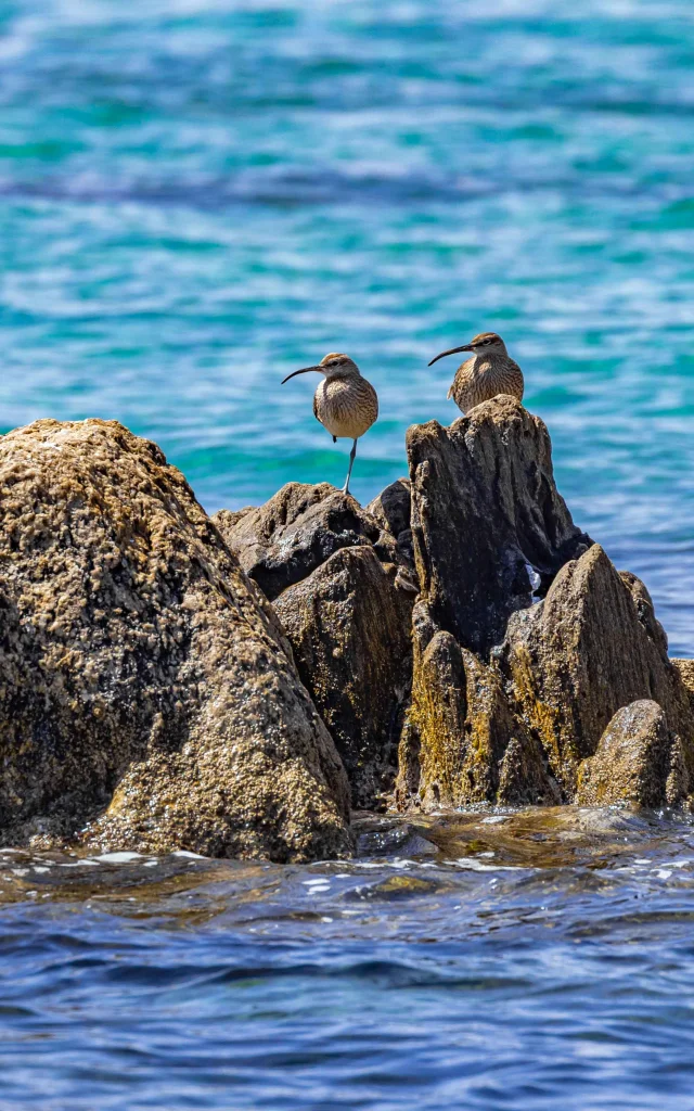 Plage Grimaud Cote D Azur 22